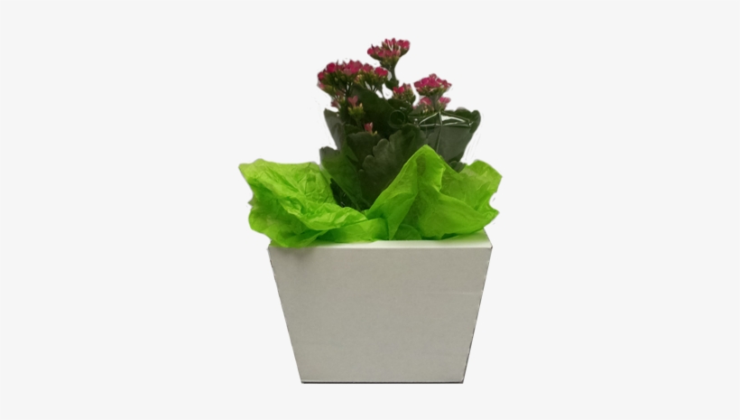 Bouquet Slant Pop & Go® Floral Box - Box, transparent png #2940466