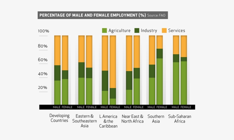 Org/women"><img Src="http - Women's Role In Agriculture Pdf, transparent png #2940769