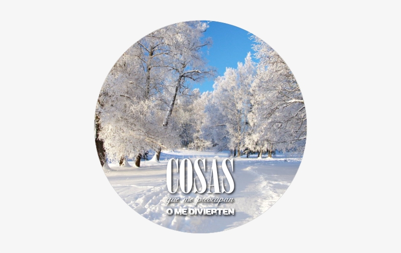 Felices Fiestas - Fireflylightsdesign Custom Fairy Wings, Adult Fairy, transparent png #2940831