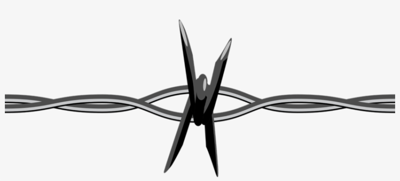 Wire Fences - Barbed Wire, transparent png #2941032