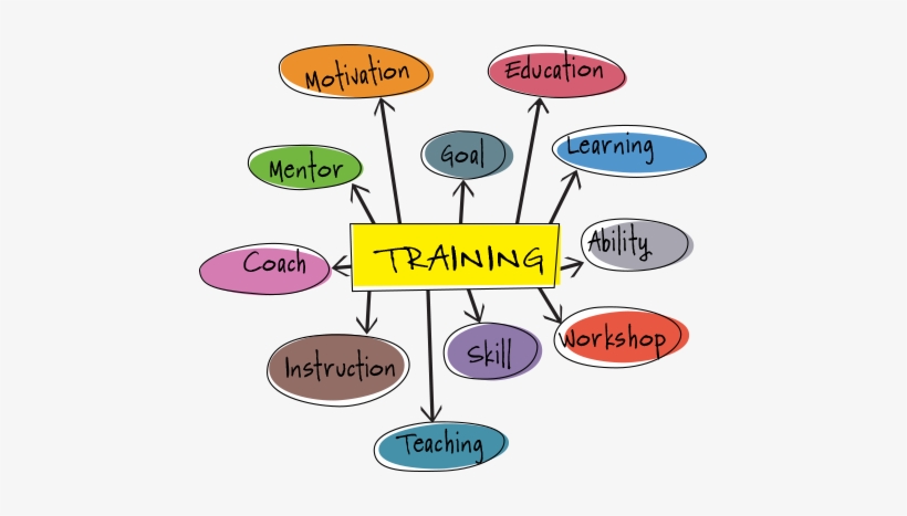 Colorado Training Providers - Training Opportunity, transparent png #2941114