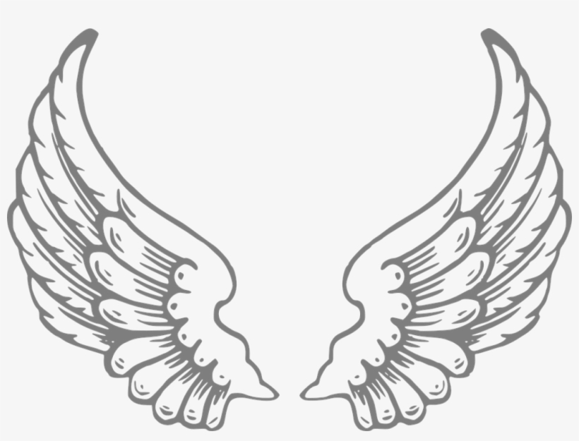 Angel Wings Outline Png, transparent png #2941303