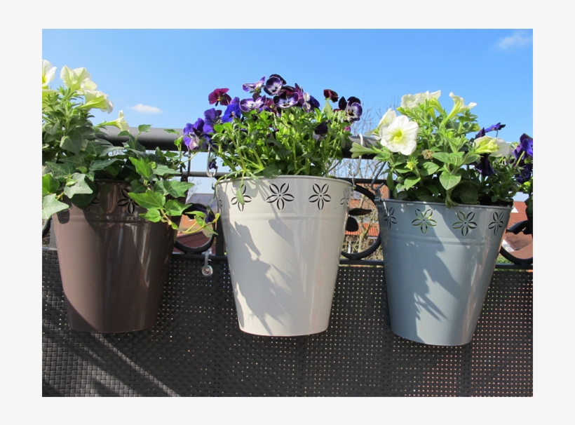 Flowerpot, transparent png #2941329