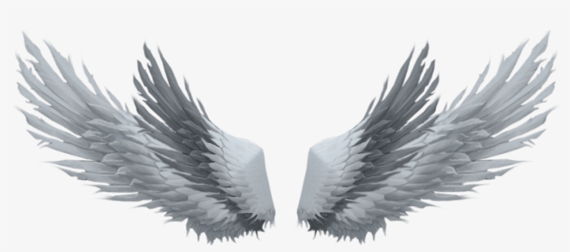 Algumas Asas Lindas Que Encontrei Pelo Google - ปีก เท่ ๆ Png, transparent png #2941349