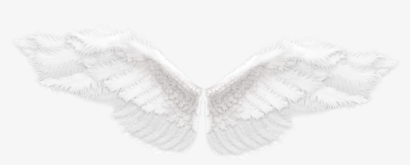 Angel Wings Free Stock, transparent png #2941618