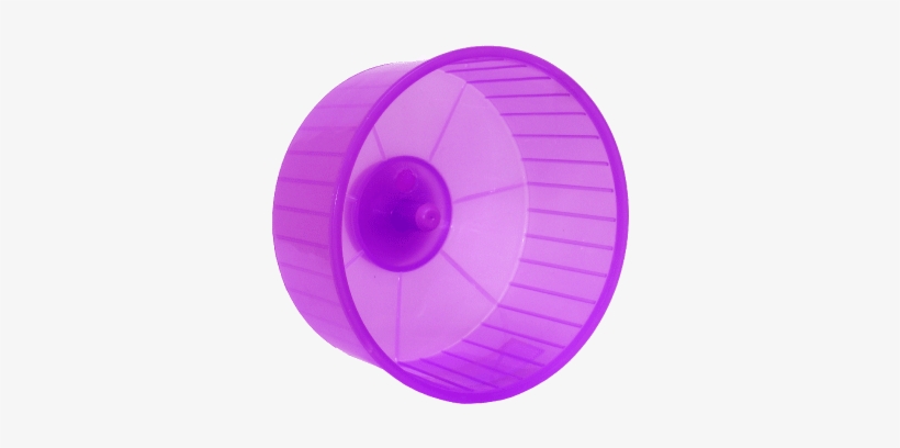 Palstic Hamster Wheel King Fischer - Circle, transparent png #2941989