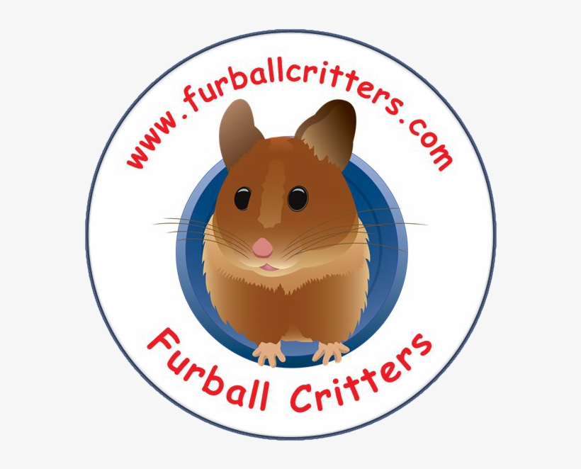 Furball Critters, transparent png #2942141