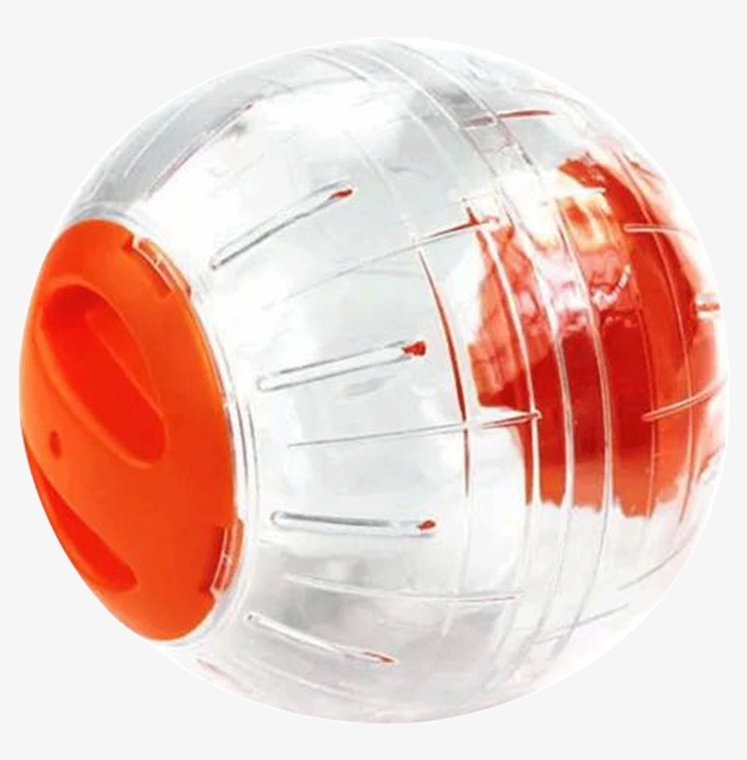 Pets Still Hamsters Running Ball Silent Running Wheel, transparent png #2942764