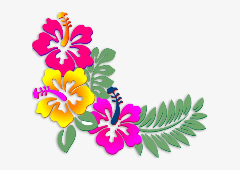 Hibiscus Clipart Coral - Flores Y Hojas Hawaianas, transparent png #2942974