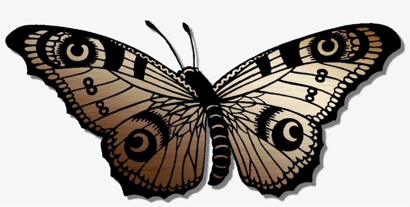 Copper Butterfly Logo - Coppers, transparent png #2942997