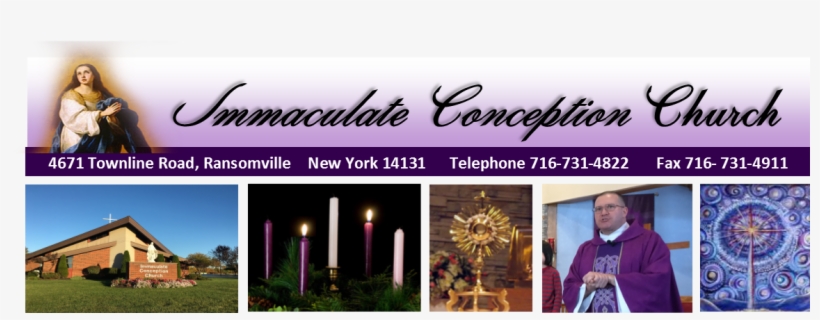 Cropped Advent Webpage 1 - Esquilache Immaculate Conception, transparent png #2943776