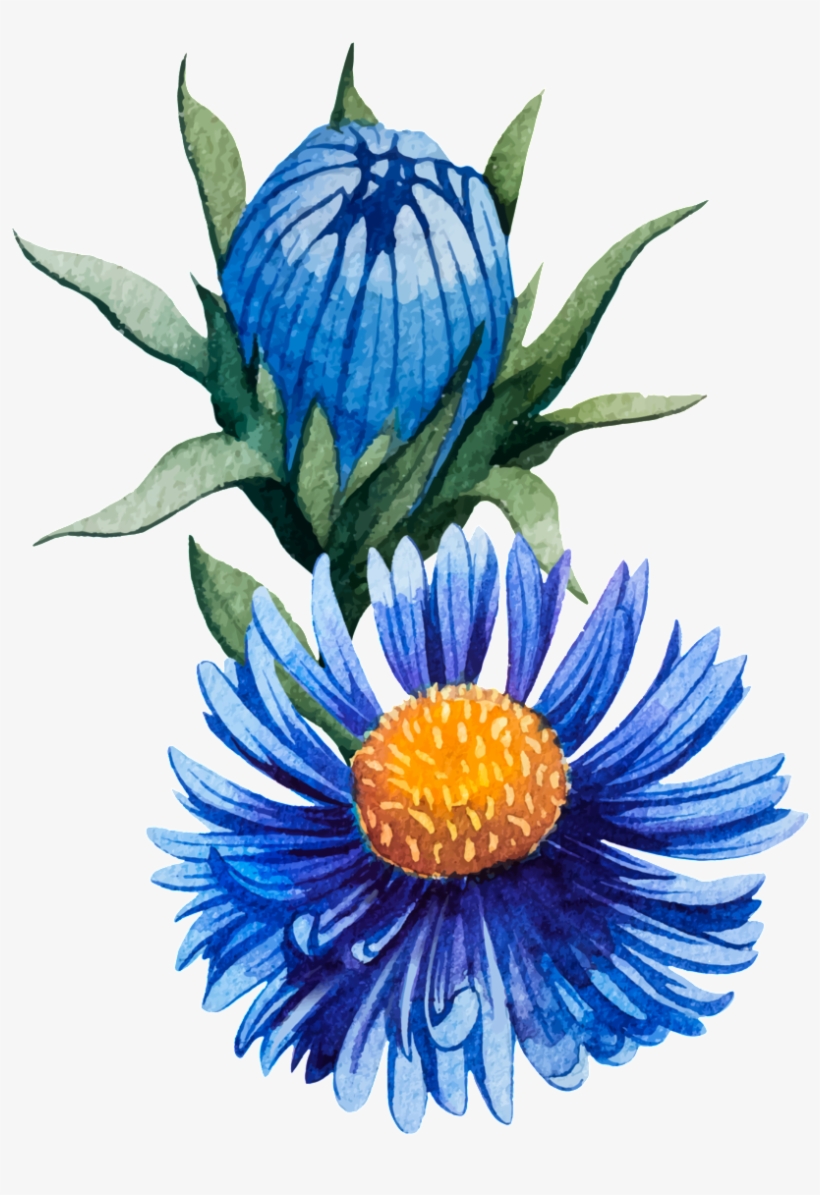 Glamour Blue Hand Painted Chrysanthemum Decorative - Dibujos De Flores Crisantemos, transparent png #2944207