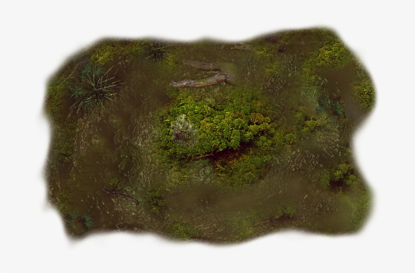 06 Feb 2009 - Moss, transparent png #2947293