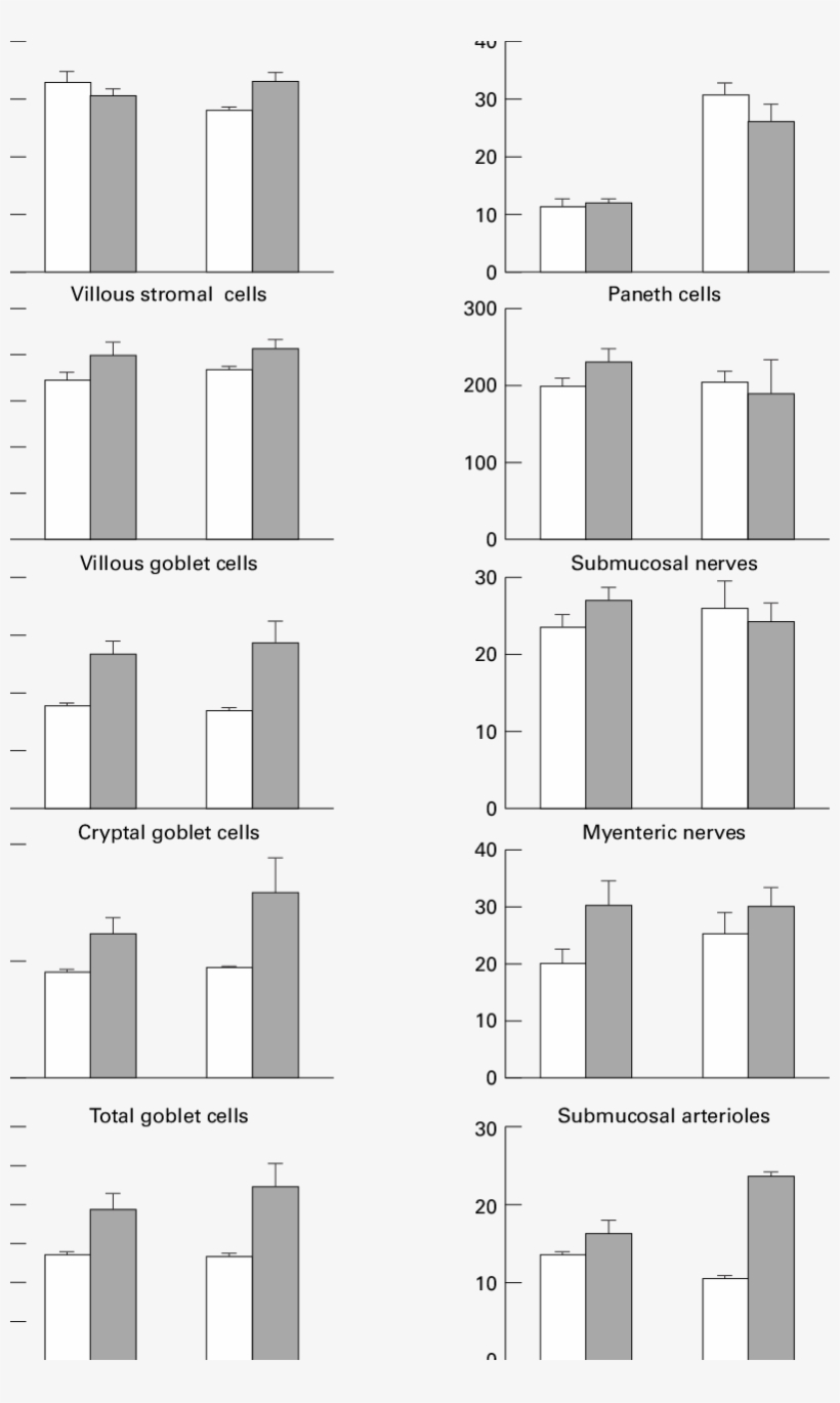 Evects Of The Fibre And Flora On The Morphometry Of - Monochrome, transparent png #2947501