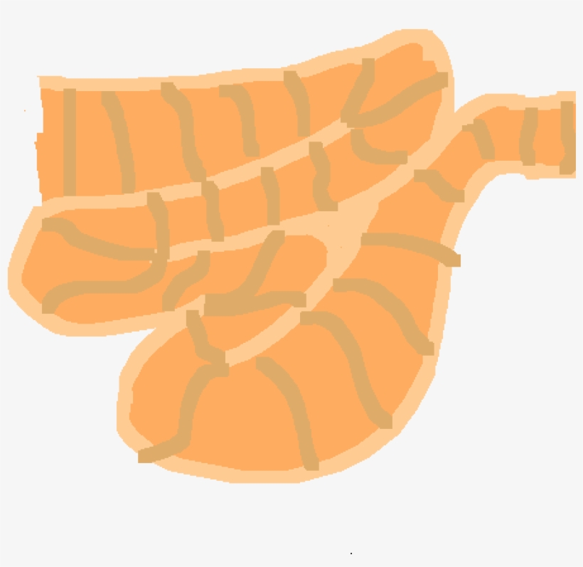 Small Intestine - Rebelde, transparent png #2947545