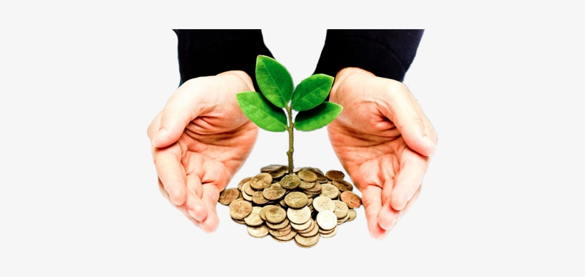 Donate - Investor Money, transparent png #2947893