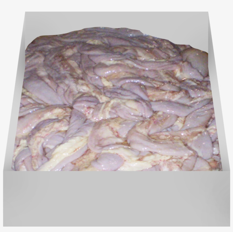 Small Intestine / Tripa - Kaszanka, transparent png #2948027