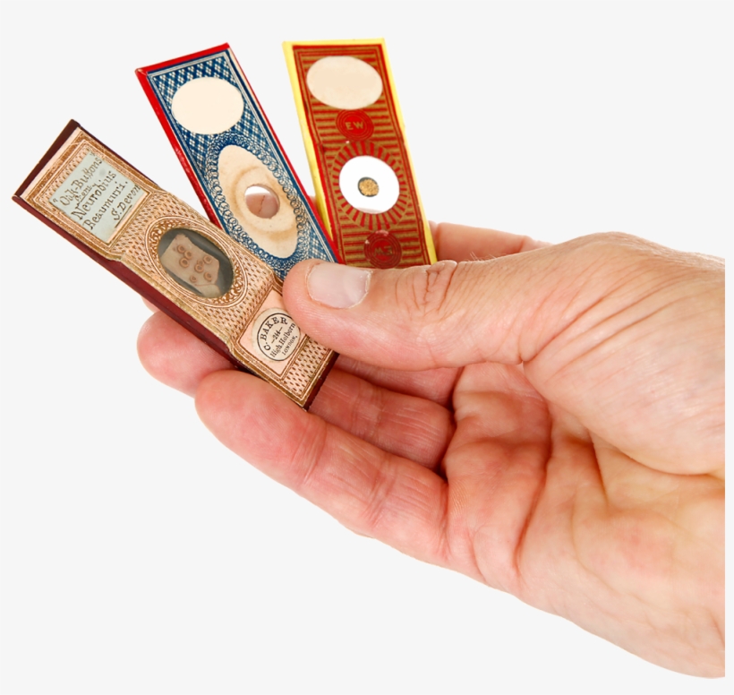 Microslides - Button, transparent png #2948031