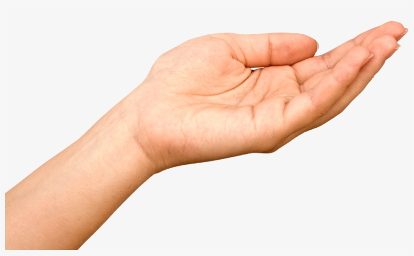 Cash - Hand Receiving, transparent png #2948274