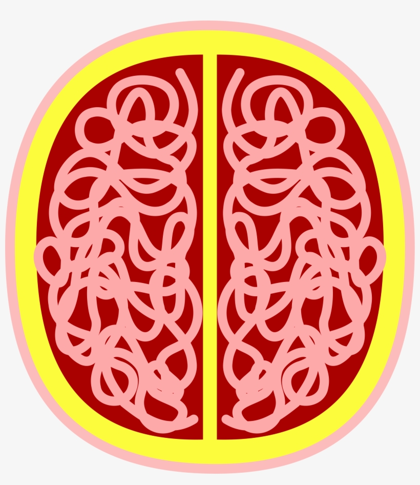 Open - Circle, transparent png #2948593