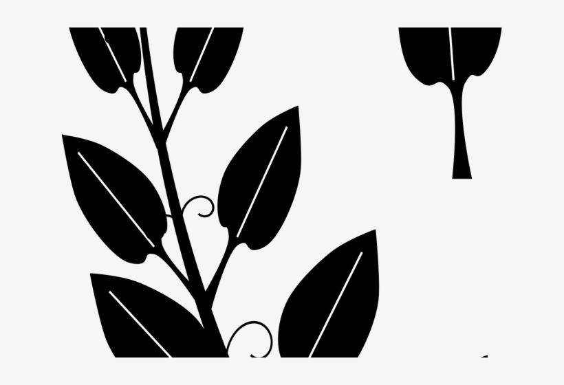 Vines Clipart Vine Leaves - Black And White Silhouette Vine Clipart, transparent png #2949207