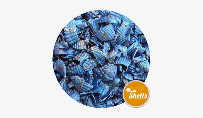 Recycled Coloured Shell - Information, transparent png #2950099