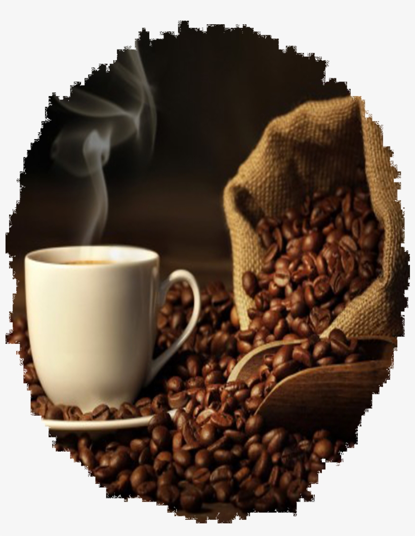 Coffee - First Wall Art - Brown A Cup Of Coffee And Coffee Bean., transparent png #2950284