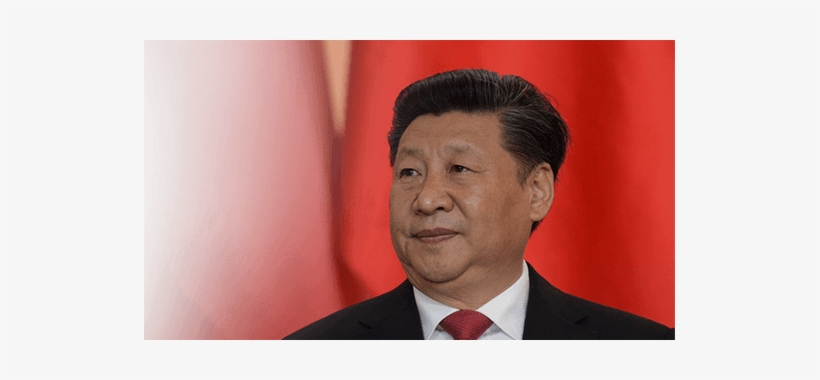 “i'd Never Seen Fleas In The City - Hong Kong President 2017, transparent png #2950425