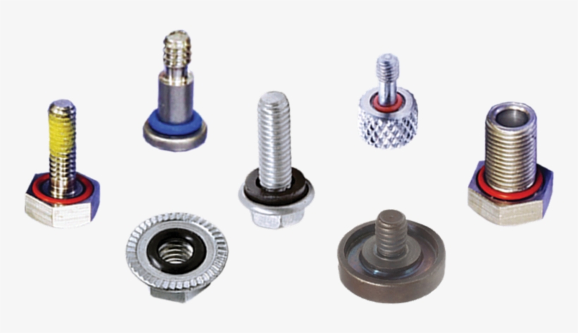 Complete Line Of Sealing Solutions - Seal, transparent png #2950734