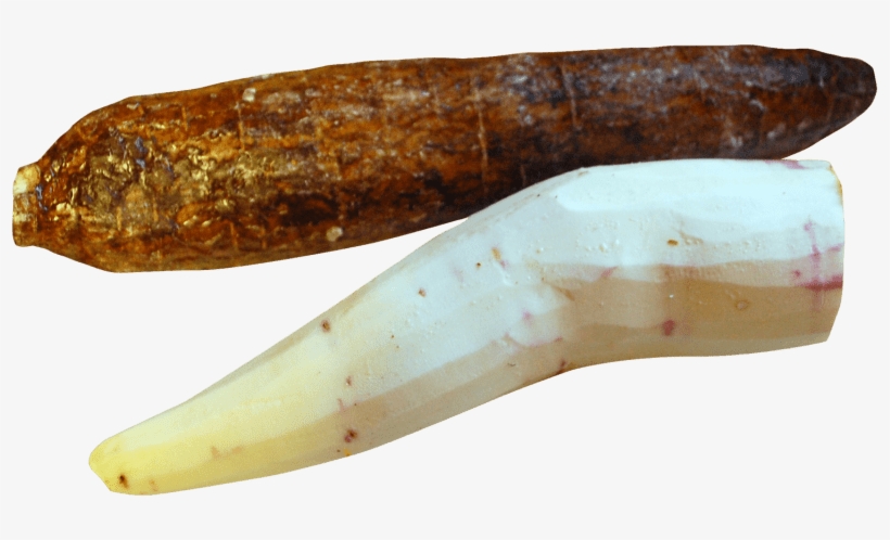 Free Png Cassava Peeled Png Images Transparent - Peeled Cassava, transparent png #2950885