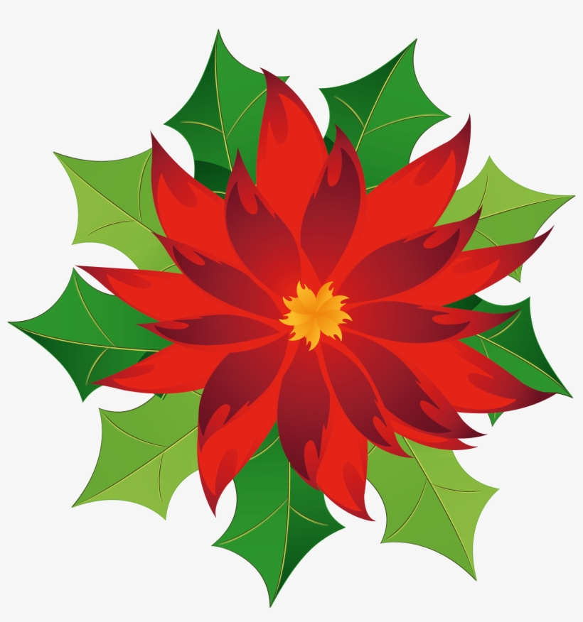 Christmas Poinsettia Clipart - Poinsettia Clip Art, transparent png #2950971