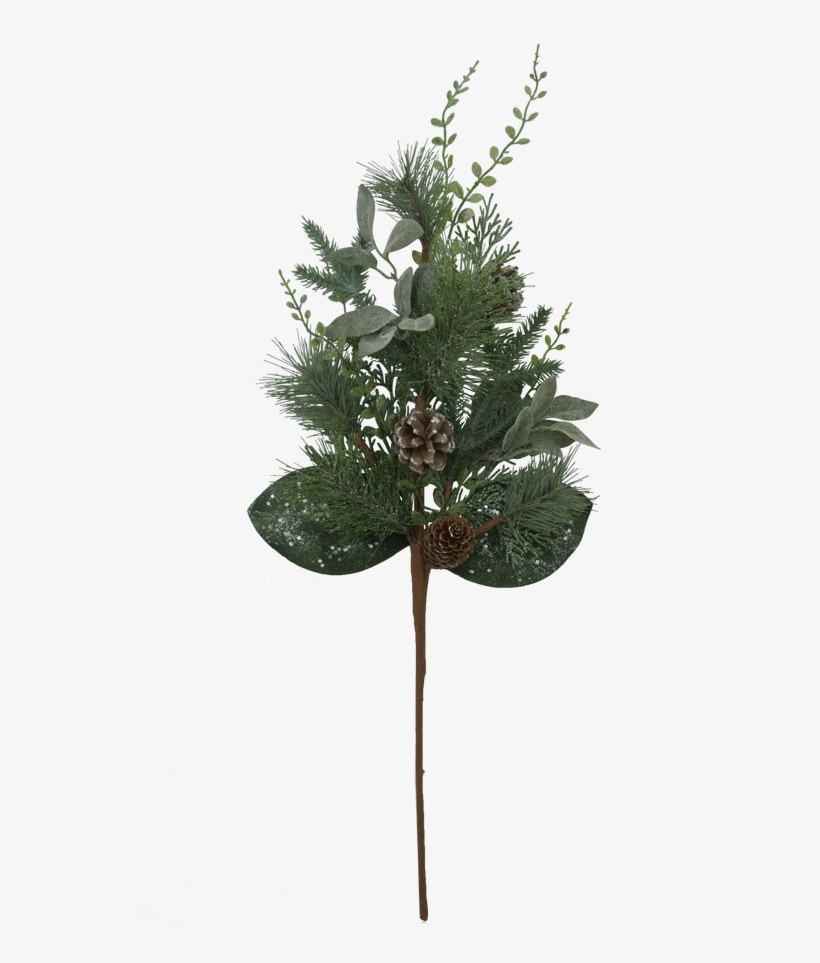 Christmas Day, transparent png #2951259