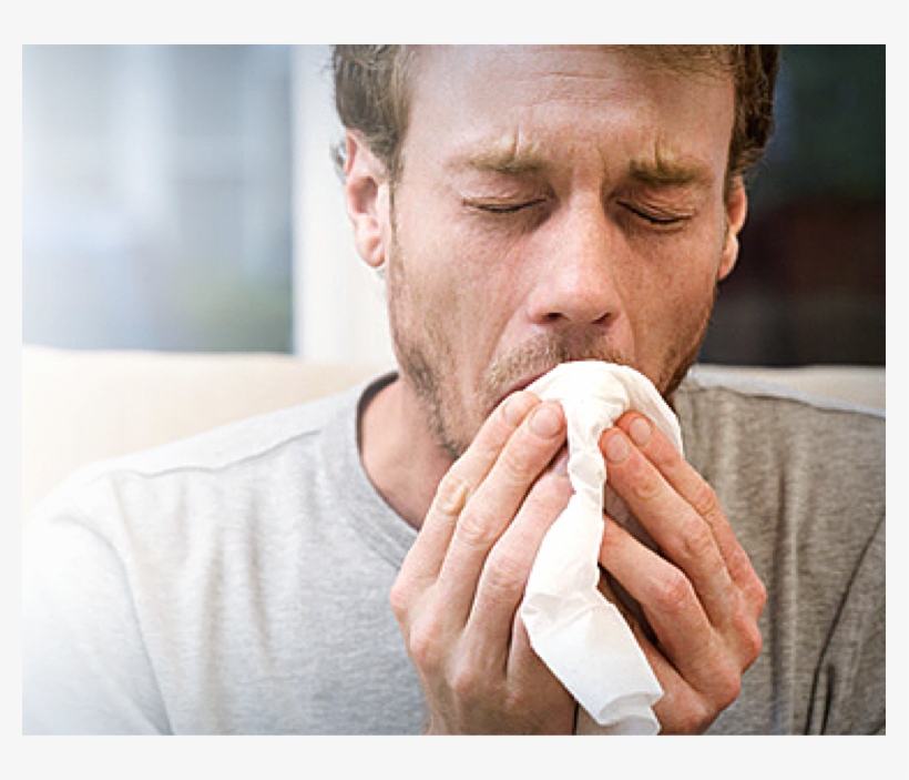 A Cough That Produces Phlegm Or Other Fluids May Be - Tuberculosis Causes, transparent png #2952076