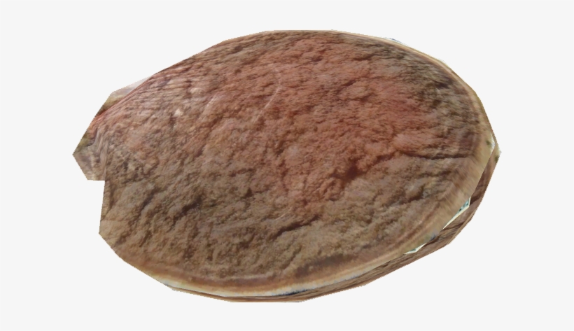 Antarctic Scallop - Antarctica, transparent png #2952596