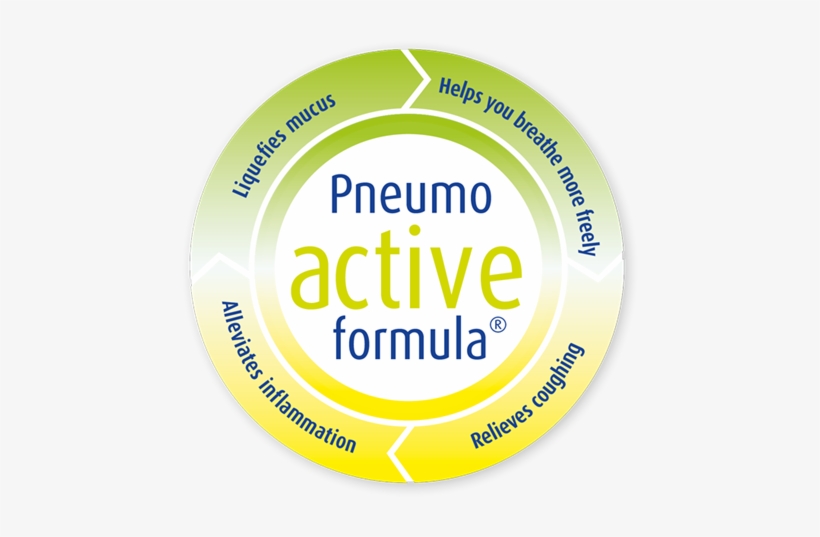 Prospan® Cough Syrup - Leaflet Prospan, transparent png #2952813