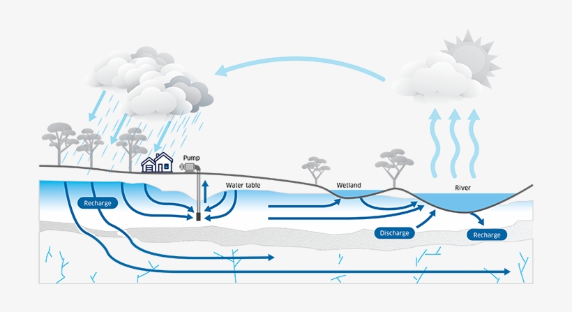 In Some Systems Groundwater May Flow Quickly Over Days - Illustration, transparent png #2953377