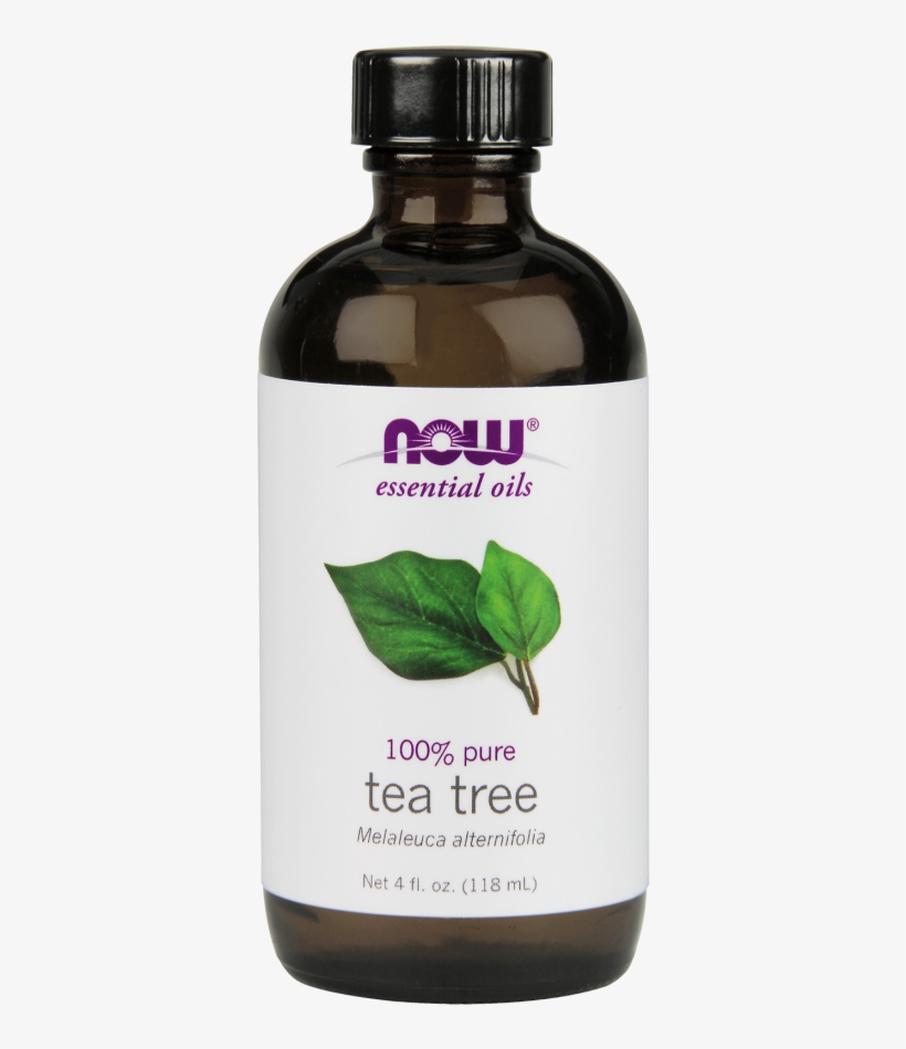 Tea Tree Oil - Fl Oz Now Foods Rosemary Essential Oil, transparent png #2953517