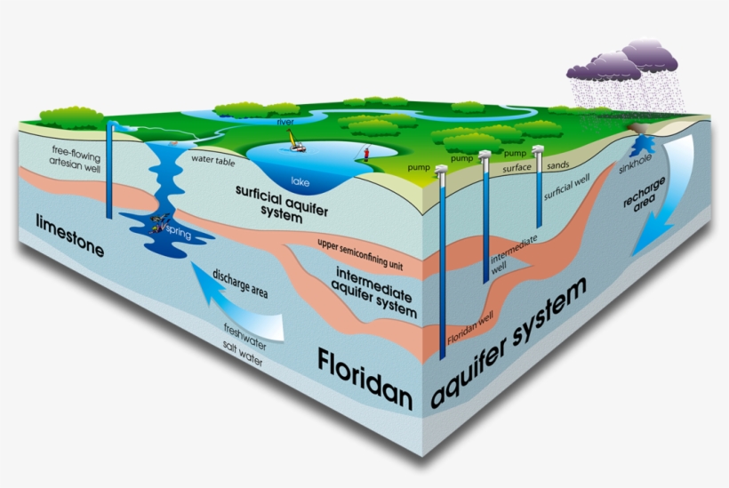 Cutaway Illustration Of The Floridan Aquifer - Florida Homes Don T Have Basements, transparent png #2953551