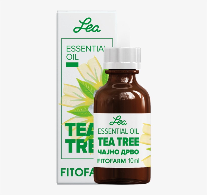 Tea Tree Essential Oil Melaleuca Alternifolia - Essential Oil, transparent png #2953690