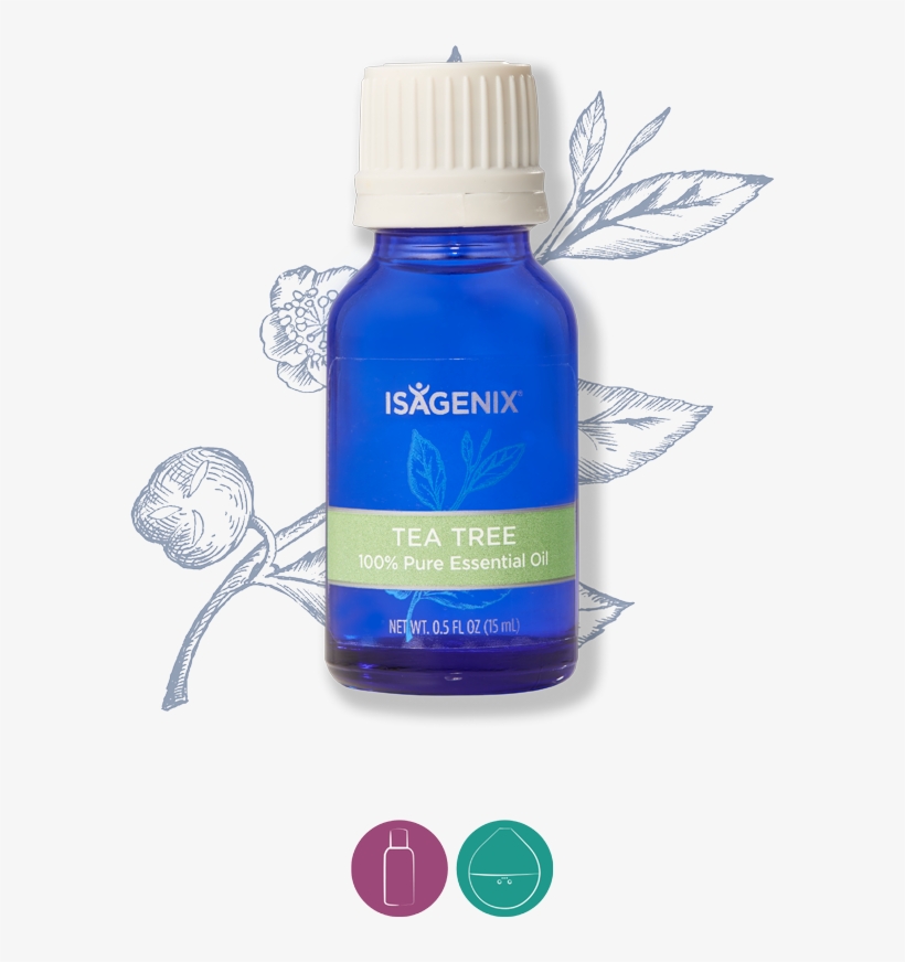 Tea Tree - Isagenix Essence Lemon Essential Oil, transparent png #2953711