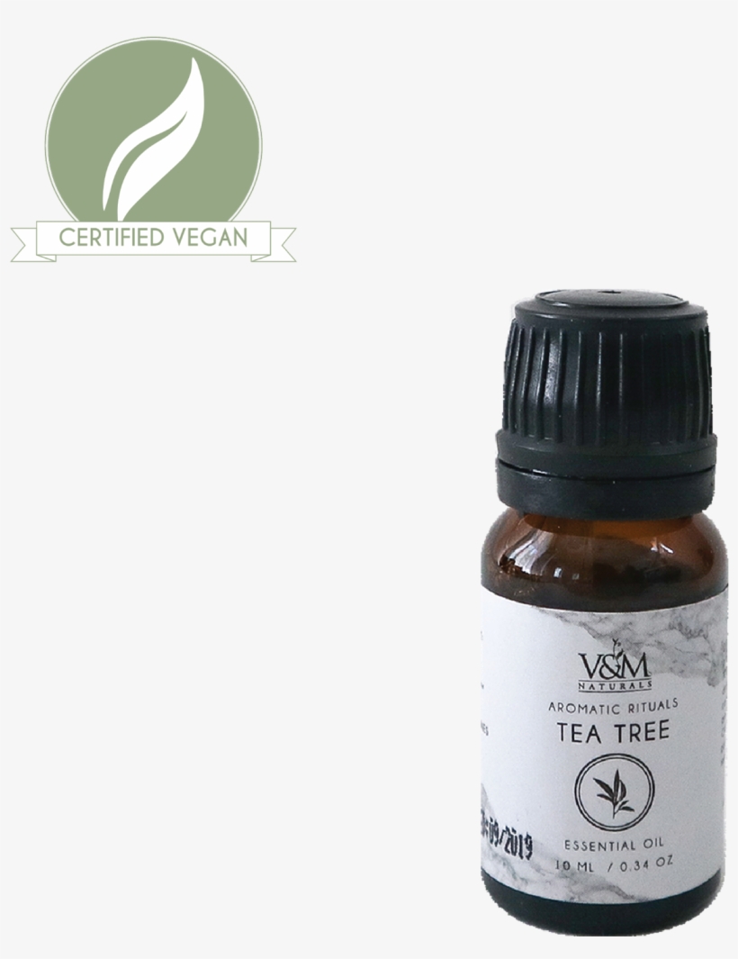 Picture Of Tea Tree Essential Oil - Essential Oil, transparent png #2953738