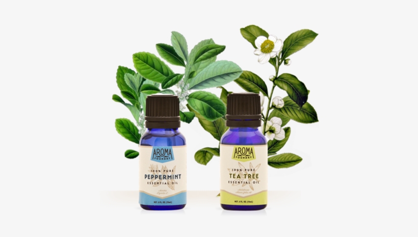 Wardee Peppermint And Tea Tree Oil Bundle - All About Tea By William Ulkers, transparent png #2954387