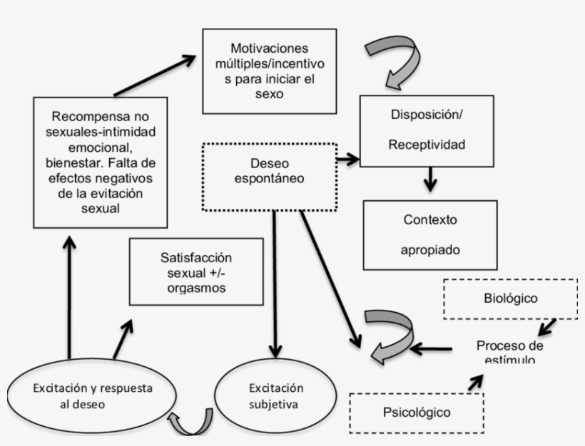 La Dimensiones Del Conflicto En Terapia De Pareja - Dimension, transparent png #2954690