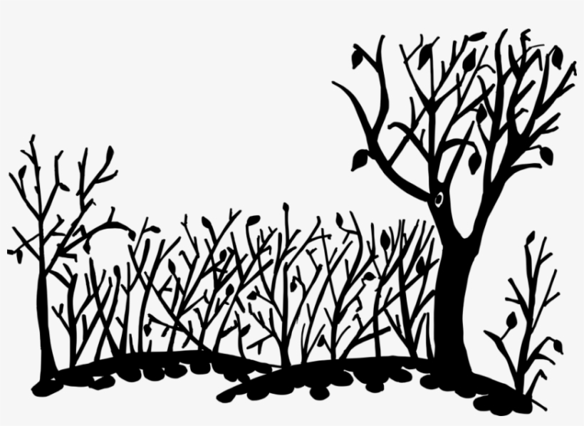Free Png Nature Background Silhouette Png Images Transparent - Background Of Nature Drawing, transparent png #2955145