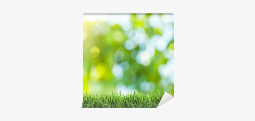 Blurred Nature Background Wall Mural Pixers We Live - Dslr Blur Nature, transparent png #2955403