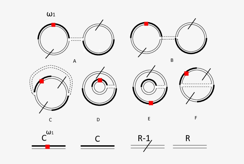 Intermediate Feynman Graphs For The First Order Slice-testing - Circle, transparent png #2956010