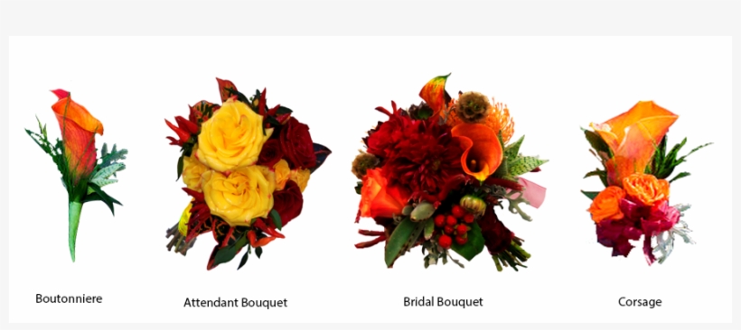 More Views - Enchanted Florist, transparent png #2956066