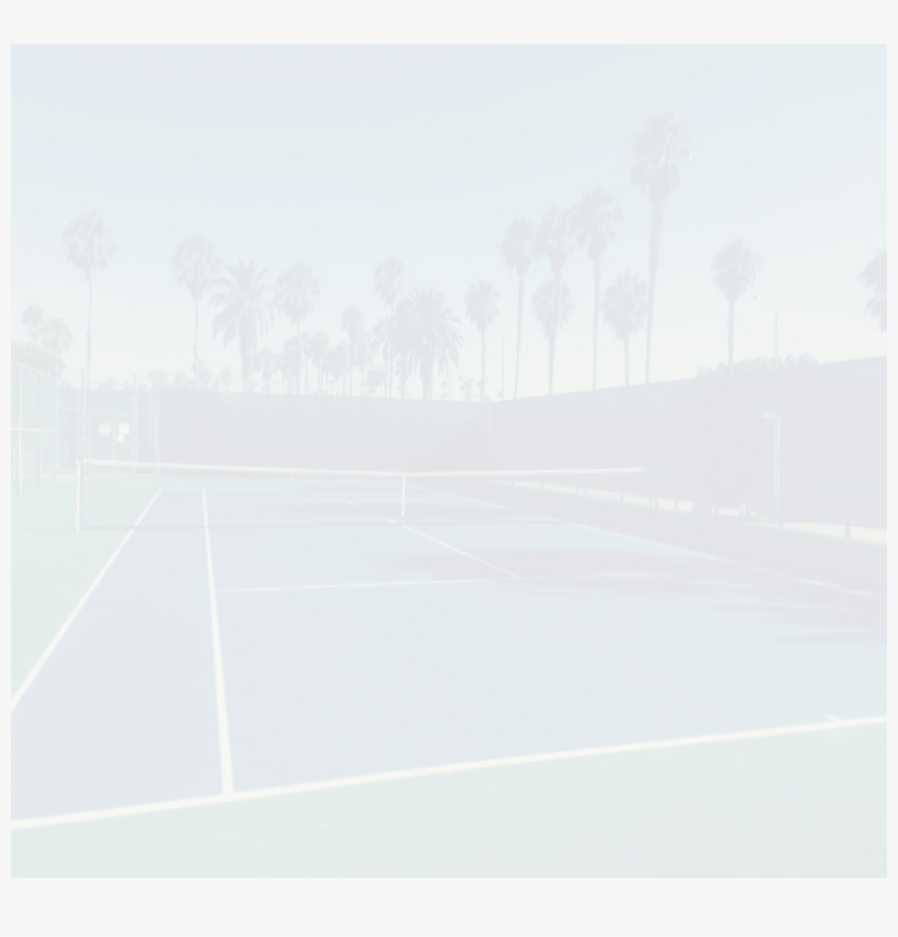 Max The Tennis Pro, transparent png #2957149