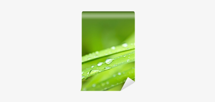 Water, transparent png #2957645