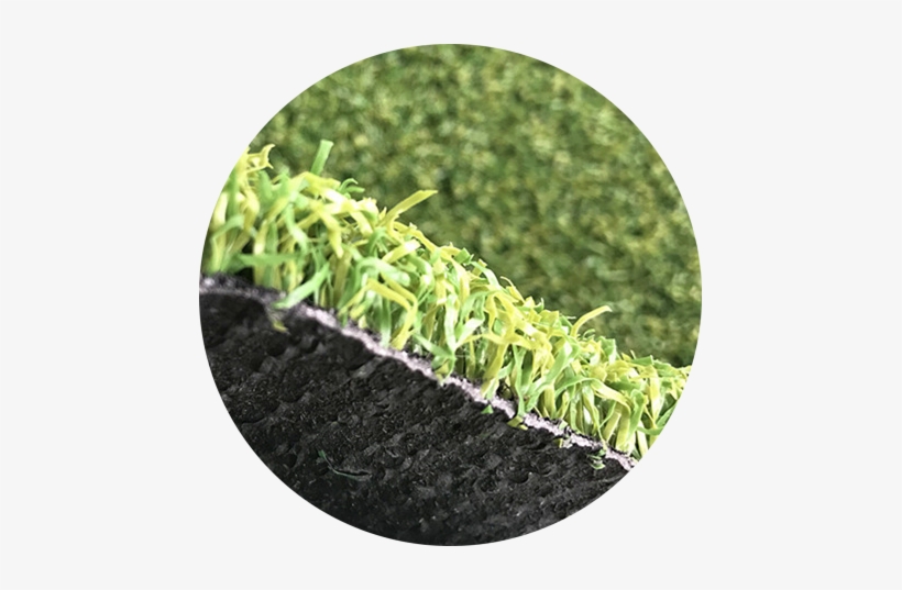 30mm Height Turf Grass Blade Artificial Gras - Artificial Turf, transparent png #2957702